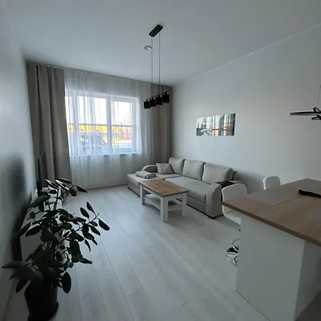 Tamula Loft Apartment, Voru, County