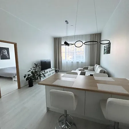 Tamula Loft Apartment, Voru, County Lejlighed